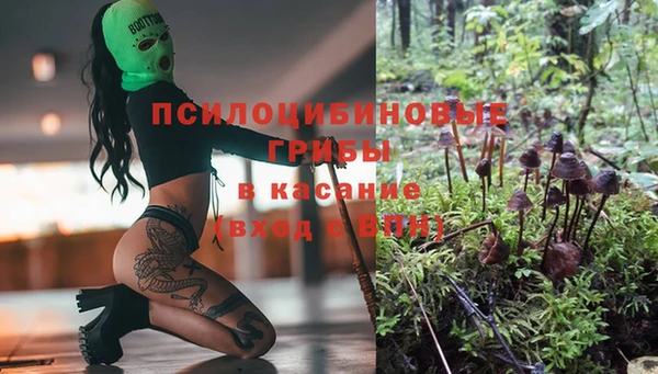 бошки Абдулино
