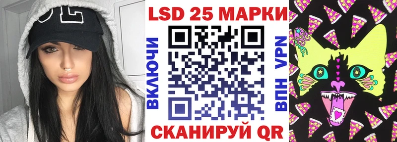 darknet какой сайт  Шенкурск  Наркотические марки 1,5мг 