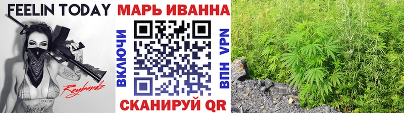 кракен tor  Шенкурск  Бошки Шишки SATIVA & INDICA  продажа наркотиков 